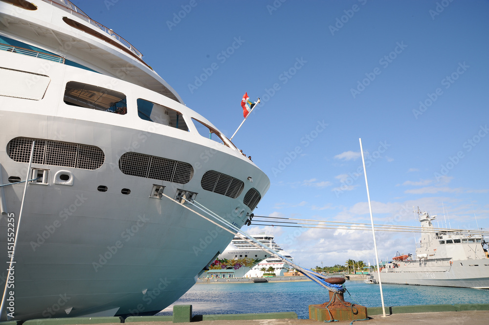 Fototapeta premium Cruise ship docked at port of call outdoors.