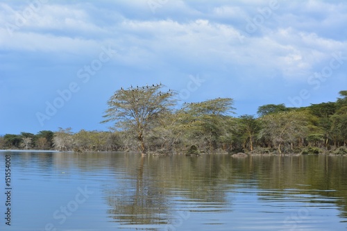Kenia Safari