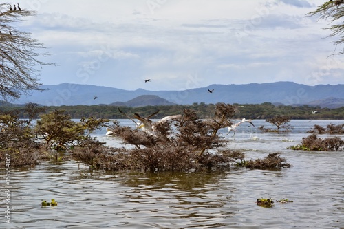 Kenia Safari