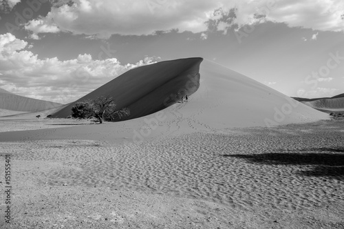 Two Women Walking up Dune 45  Desert Landscape  Sossusvlei  Namibia