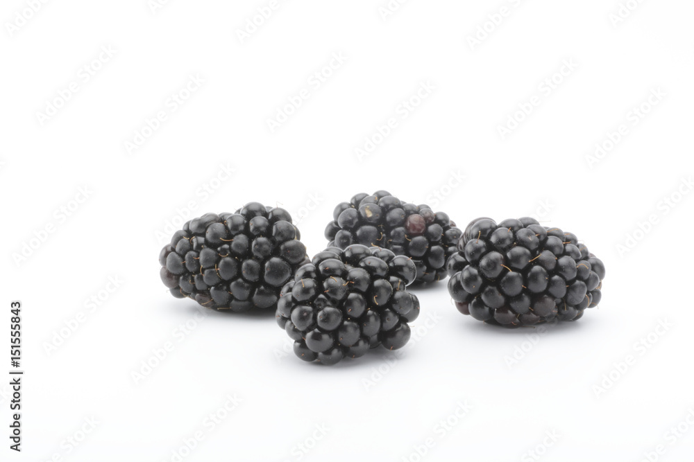 Moras sobre fondo blanco, fruta Moras sobre fondo blanco, fruta