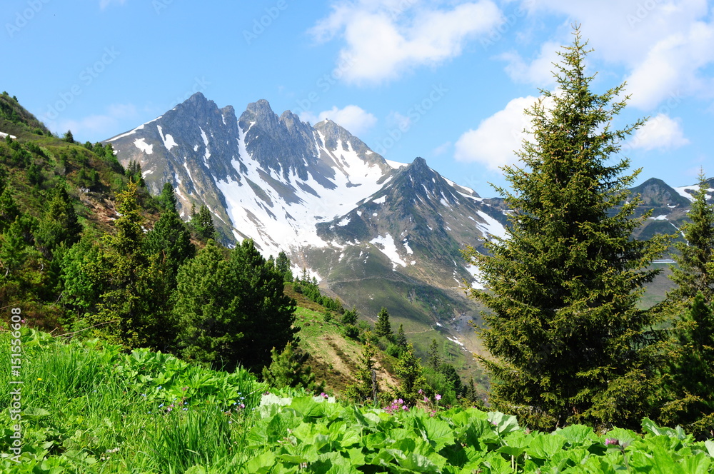 Austria:  Naturlandschaft in den Tiroler Alpen
