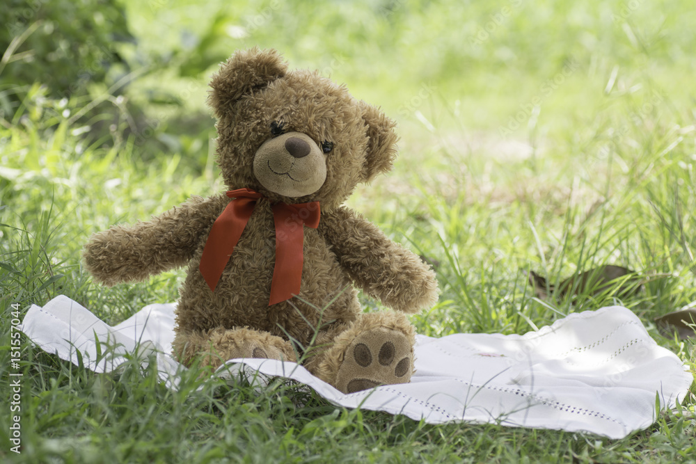 Fototapeta premium teddy bear picnic sitting on fabric in the garden.