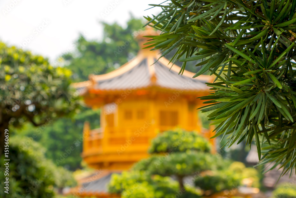 Green Branch and Defocused Golden Pavilion Green Branch and Defocused Golden Pavilion
