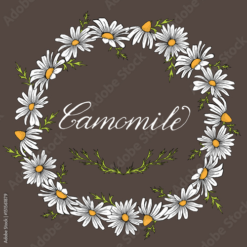 Vector vintage camomile wreath frame