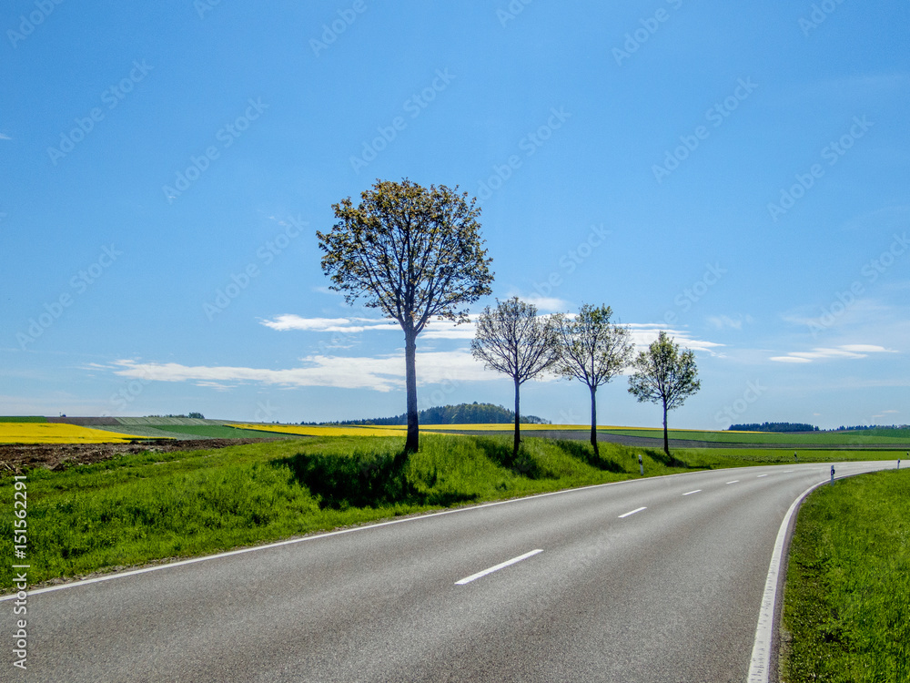 Fototapeta premium Freie Fahrt / leere Bundesstraße, die vorbeitführt an blühenden Rapsfeldern und Bäumen mit frischem Laub. Blauer Himmel, sonniges Wetter