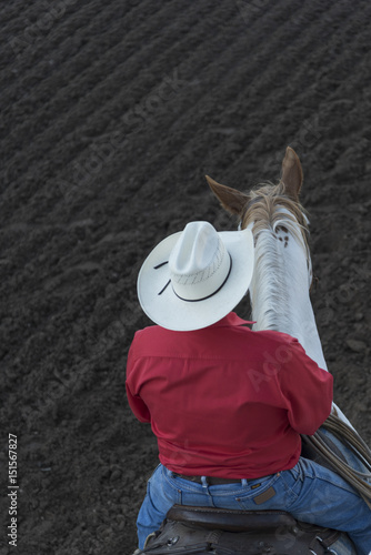 Cowboy on a horse at the annual Calgary Stampede, Calgary, Alberta, Canada