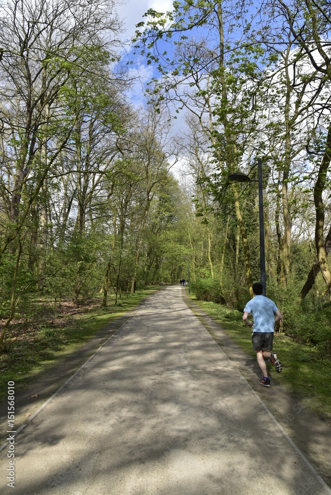 Jogging le long de la Promenade Verte au Bois de Woluwe au sud de Bruxelles Capitale Région