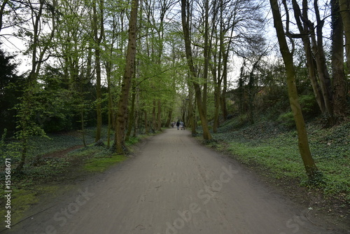 Promenade verte sous un gros nuages sombre au Parc des Sources de Woluwe-St-Pierre