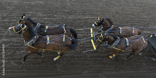 Fototapeta Naklejka Na Ścianę i Meble -  Chuckwagon racing at the annual Calgary Stampede, Calgary, Alberta, Canada