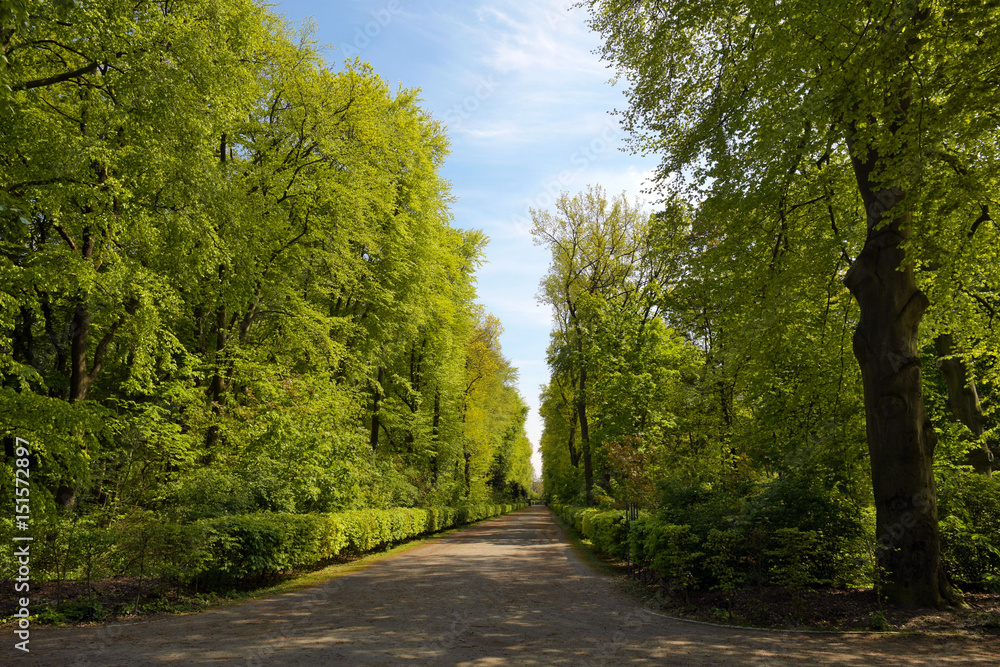 Obraz premium volkspark jungfernheide