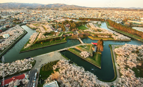 Hakodate Goryokaku fort surrounded by canal and cherry blossom trees
