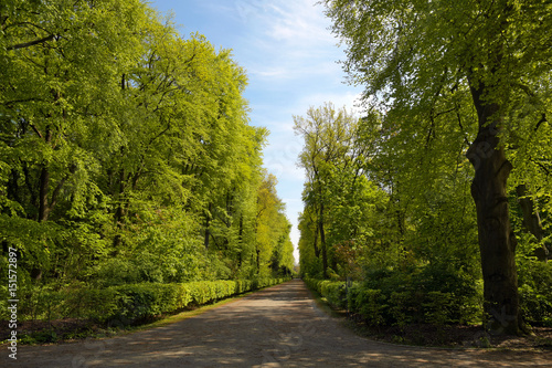 volkspark jungfernheide