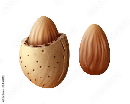 Two almond nuts