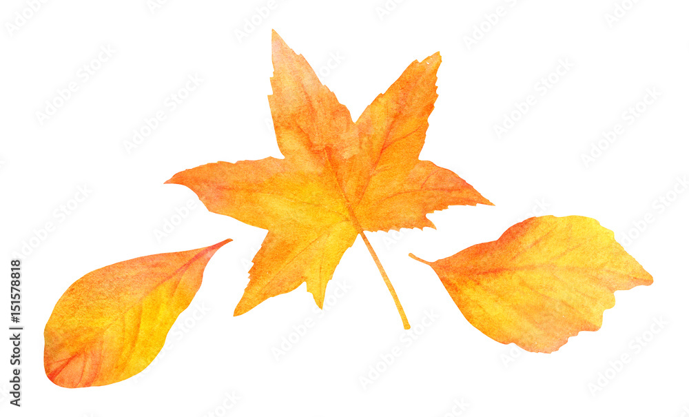 Set of three golden watercolor leaves on white background Set of three golden watercolor leaves on white background