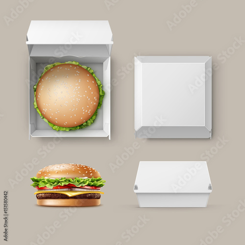 Vector Set of Realistic Container fwith Hamburger