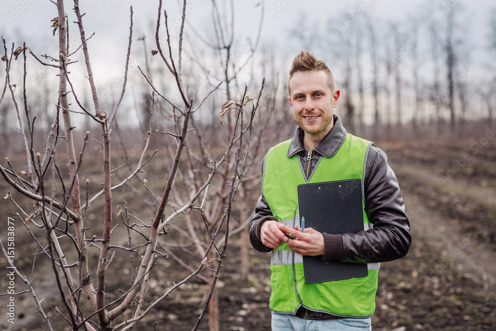 Agronomist or farmer examine trees in orchard.