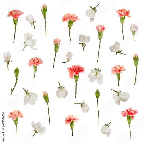 Red carnations white apple flowers floral pattern isolated on white background