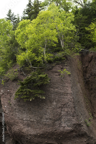 Rock formation  Bay of Fundy  New Brunswick  Canada