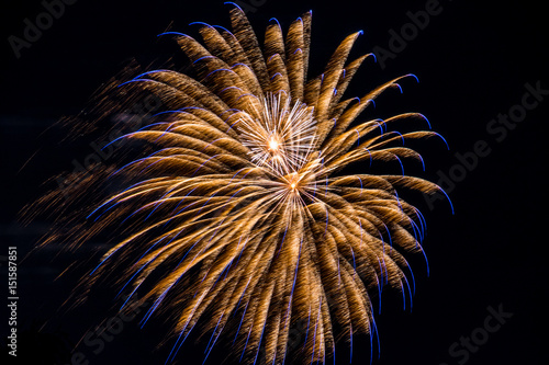 Firework fireworks celebration blue spikes gold white blasts