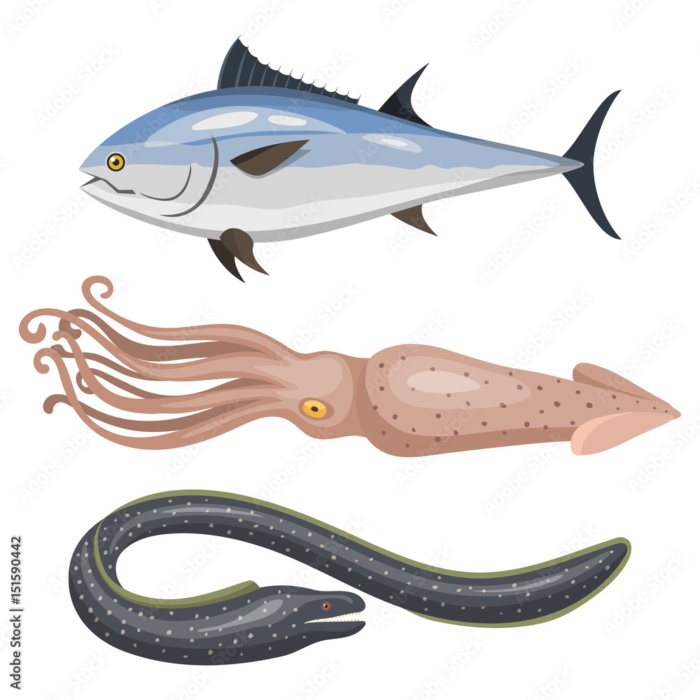 Set of different types of sea animals illustration tropical character  wildlife marine aquatic fish Stock Vector | Adobe Stock