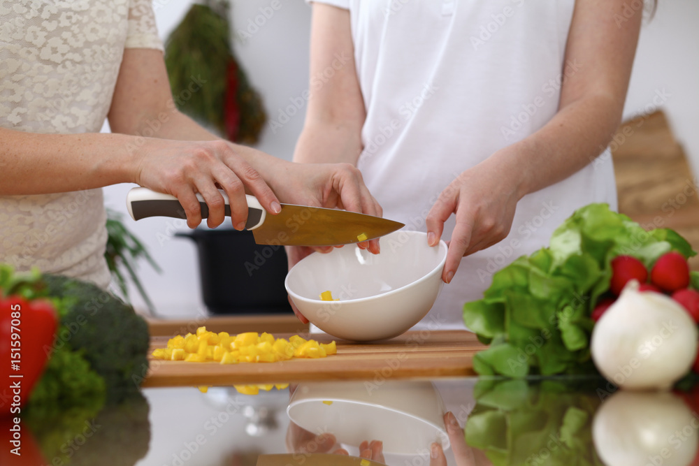 Closeup of two women are cooking in a kitchen. Friends having fun while preparing fresh salad