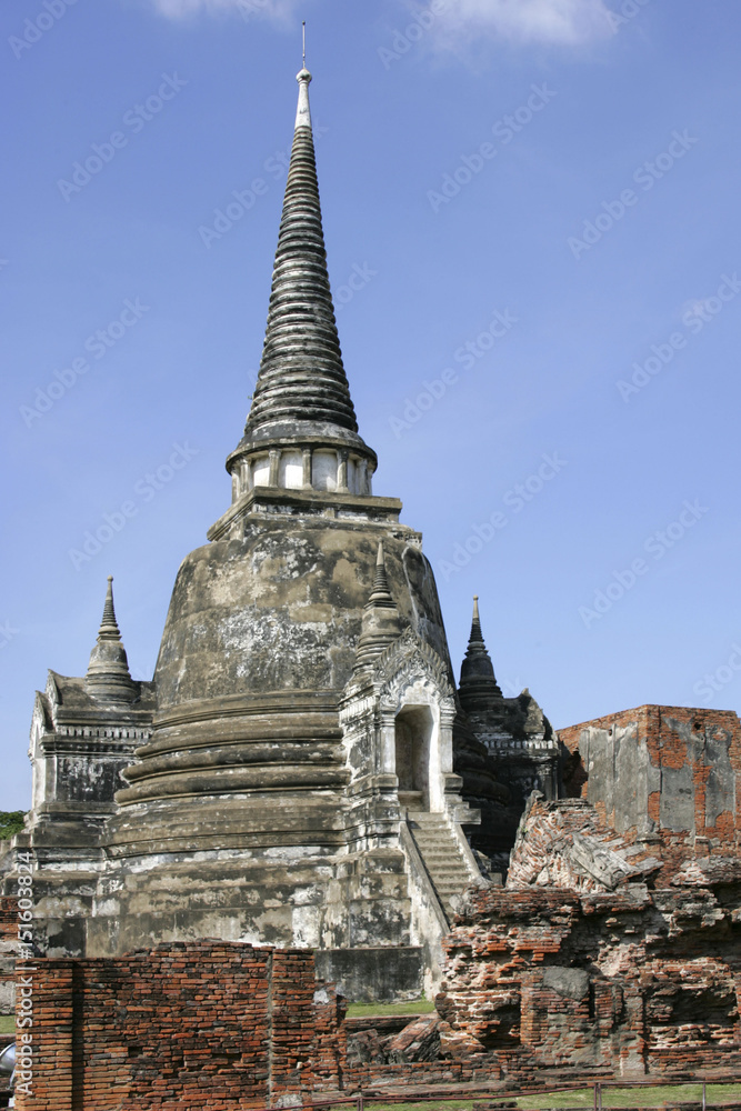 Fototapeta premium 138732.JPG