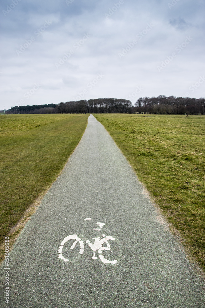 Obraz premium Bicycle Path in Phoenix Park Dublin
