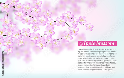 Branches with pink flowers isolated on white background Bright flying petals. Festive banner and poster. Celebration texture. Greeting card. Effect Realistic Design Elements. Vector Illustration