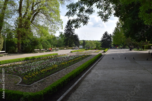  City park