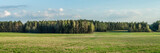 Spring landscape. Beautiful panoramic view across the field to the coniferous forest