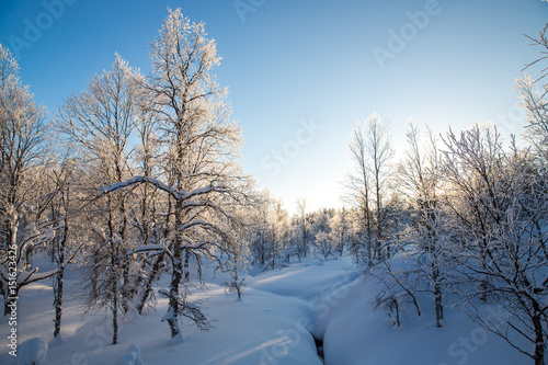 Winter landscape in Urho Kekkonen National Park, Finland. © victormro