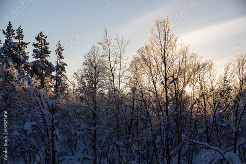 Winter landscape in Urho Kekkonen National Park, Finland.