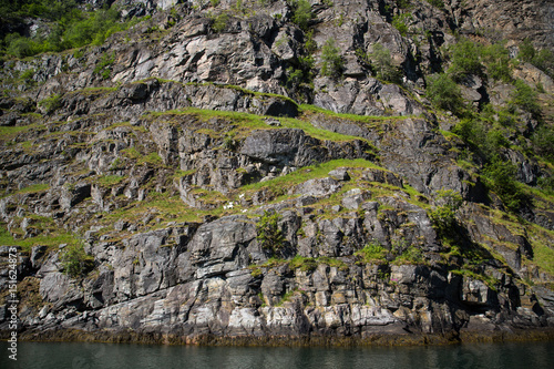 Landscape near Flam, Norway. © victormro