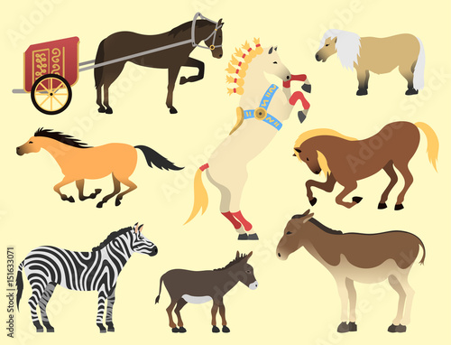 Fototapeta Naklejka Na Ścianę i Meble -  Horse pony stallion isolated different breeds color farm equestrian animal characters vector illustration.