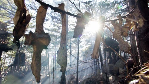 Animal bones hanging on ropes in the tribe