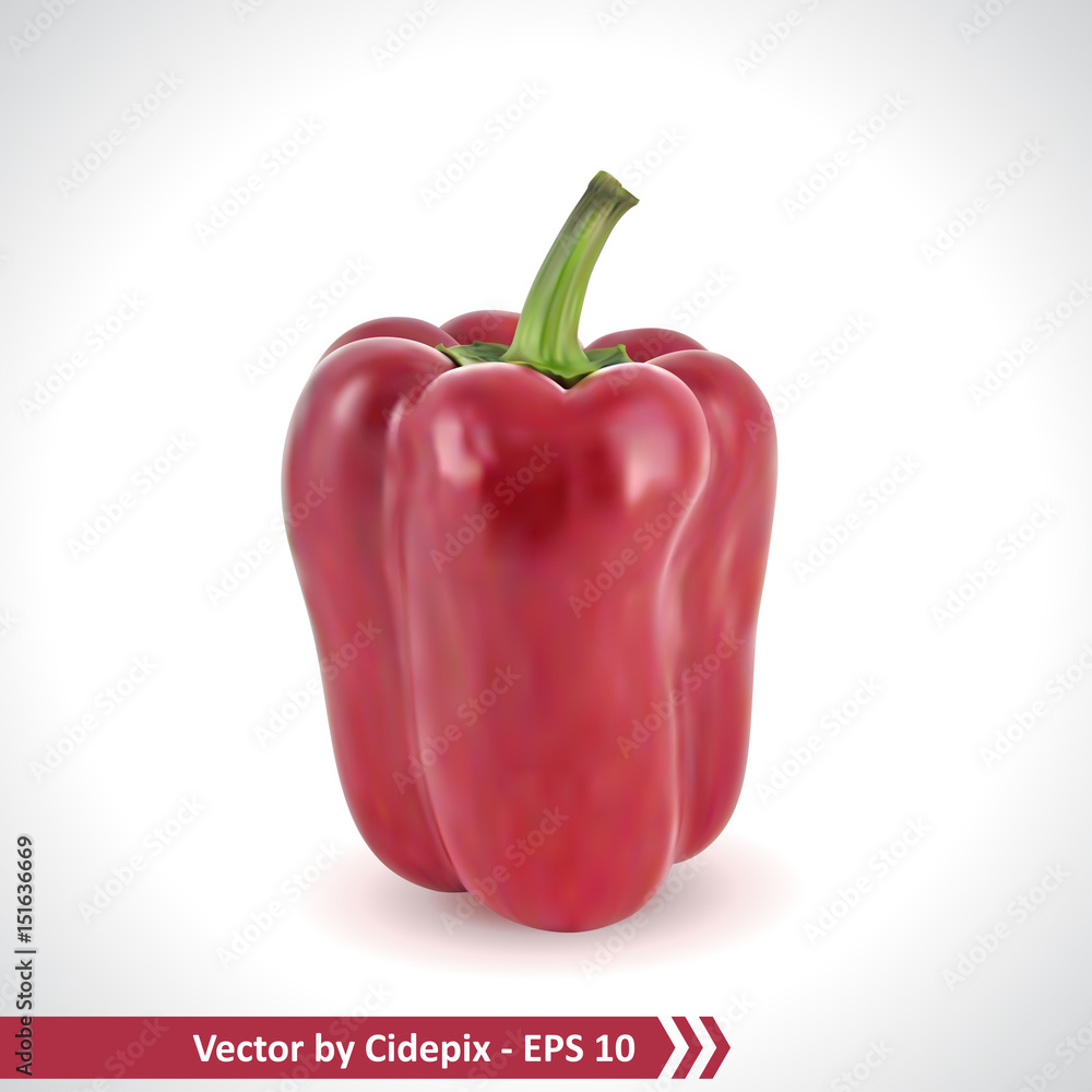 Realistic Illustration of a Red Pepper Realistic Illustration of a Red Pepper