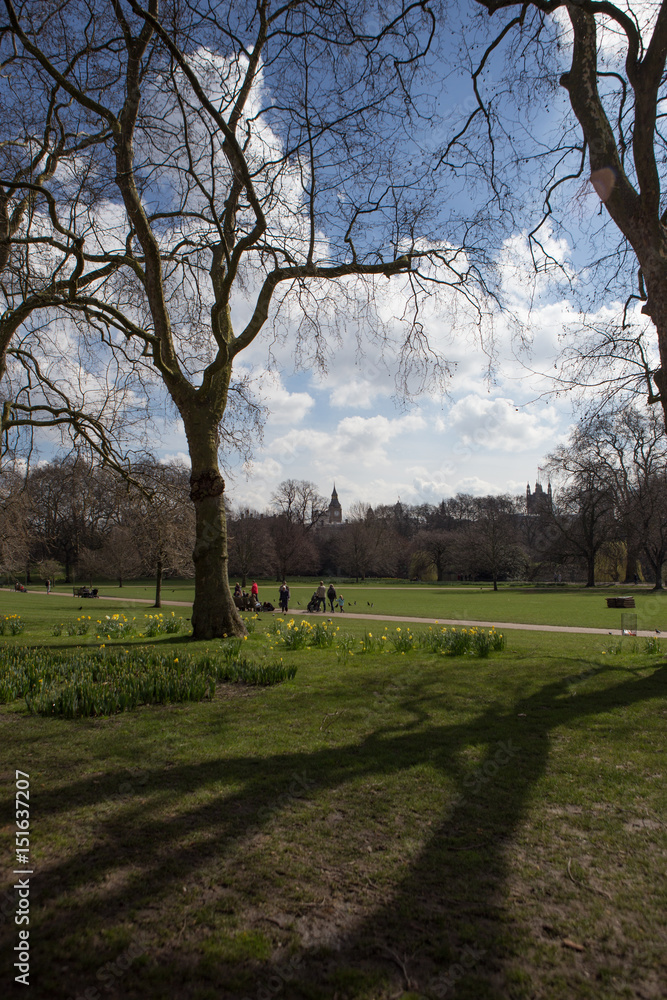 Obraz premium London Park