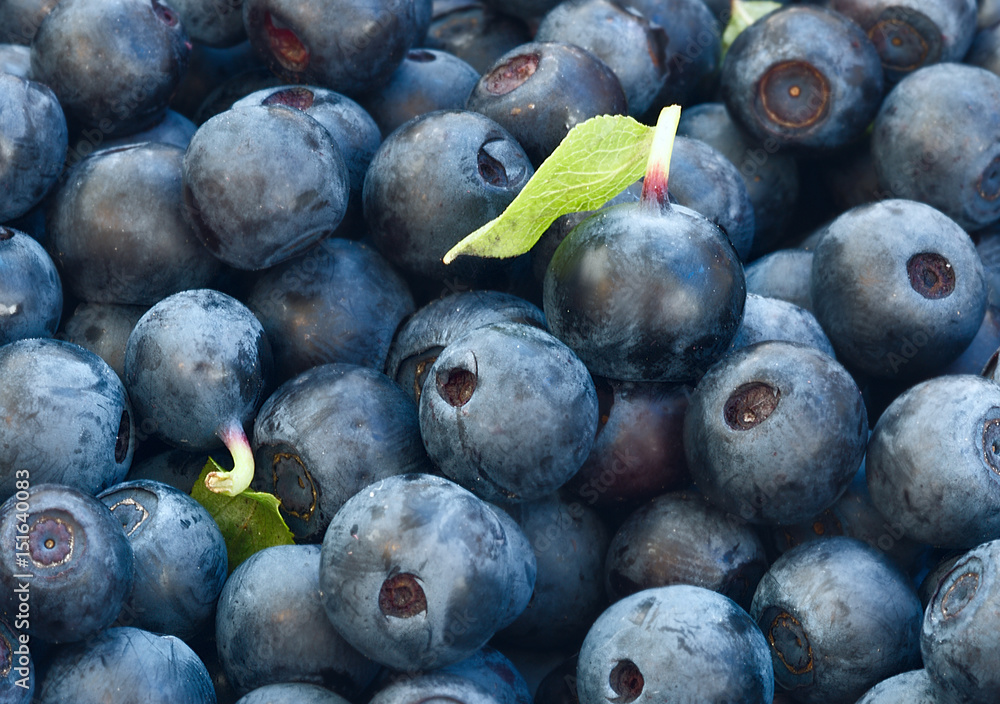 Close up of blueberries Organic food for healthy eating and nutrition