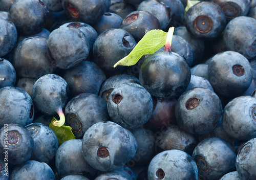 Obraz na płótnie Close up of blueberries Organic food for healthy eating and nutrition w salonie