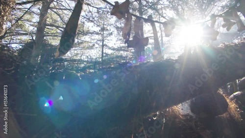 Human bones on the ropes in the cannibal tribe