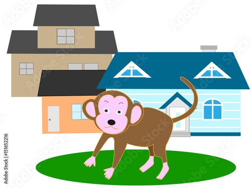 住宅街に現れる猿