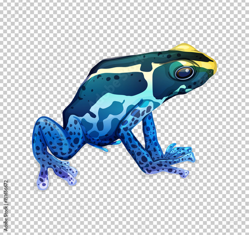 Blue frog on transparent background