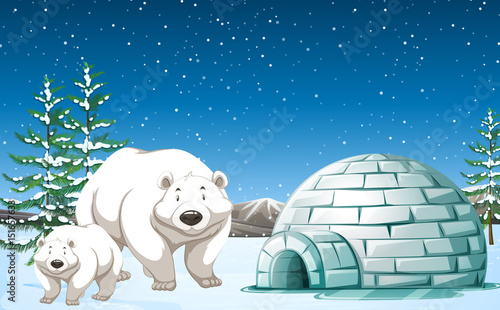 Polar bears standing near igloo at night