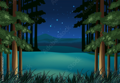 Forest scene at night with stars