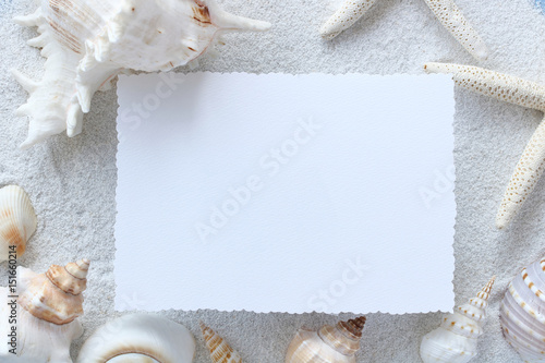 Blank card with sea shells and foliage plant 夏イメージ カード