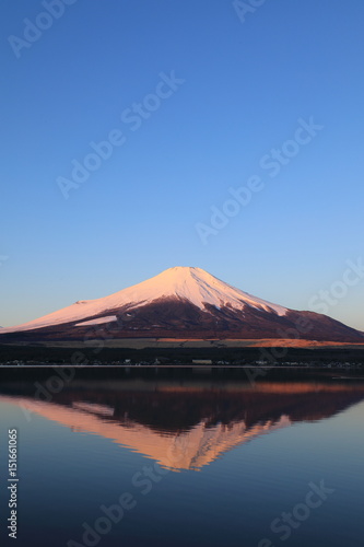Fuji Mountain
