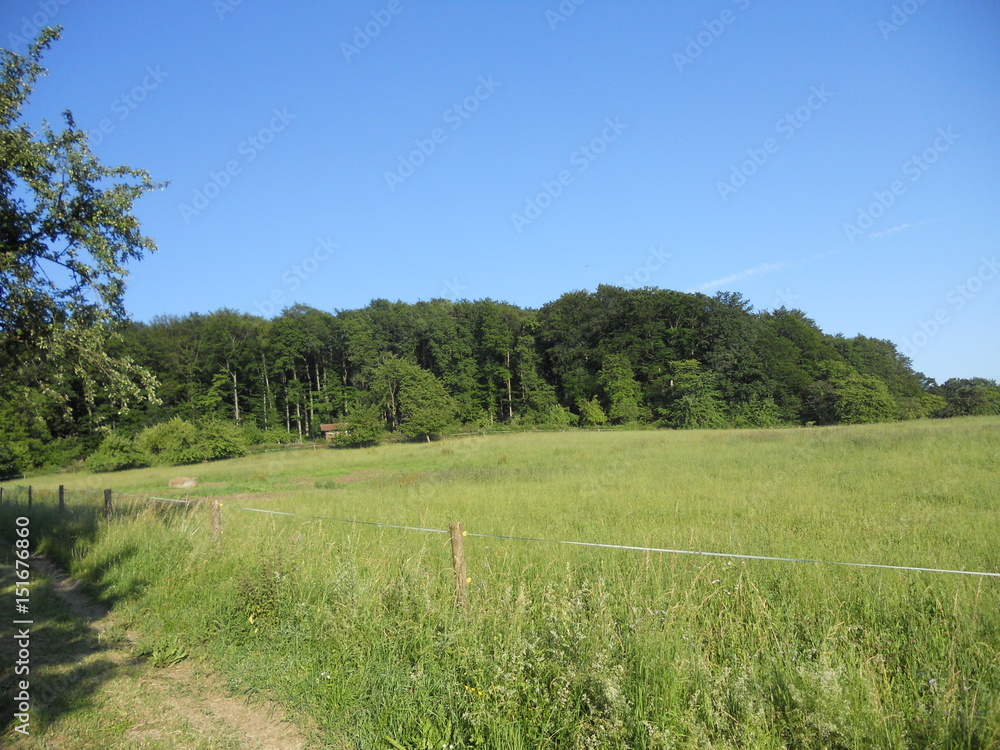 Obraz premium Fischbachtal germany