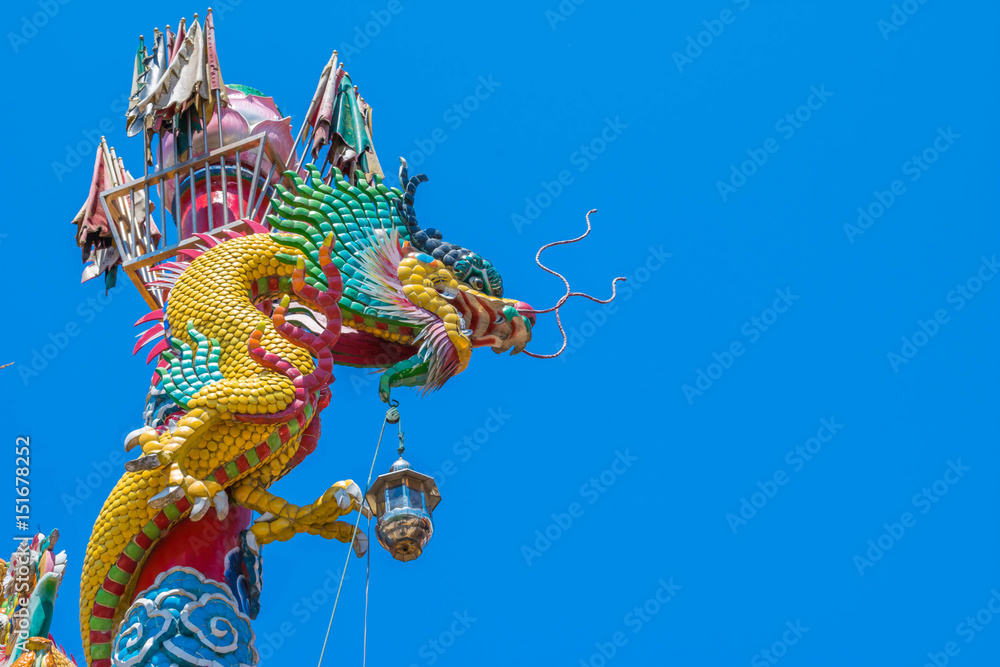 Fototapeta premium dragon chinese art