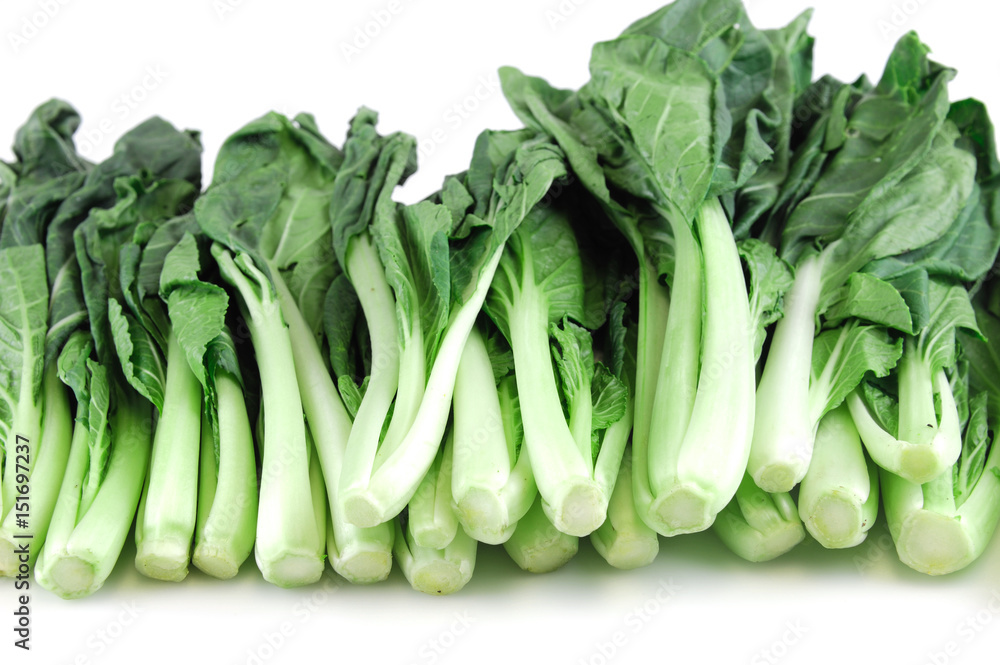close up on fresh vegetable cabbage background close up on fresh vegetable cabbage background